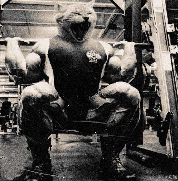 Егор Шеховцов | Москва