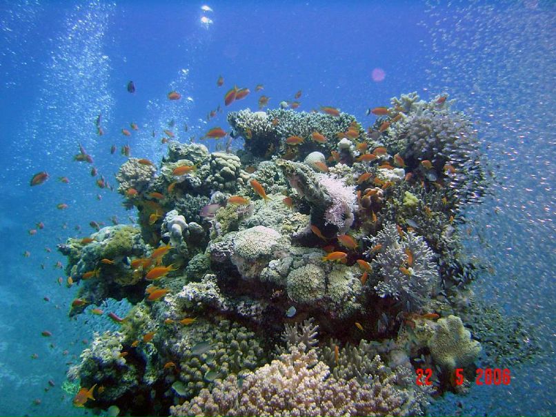 Андрей Еговцев | Краснокамск