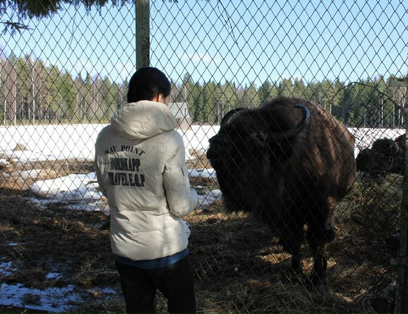 Карина Деева | Пермь