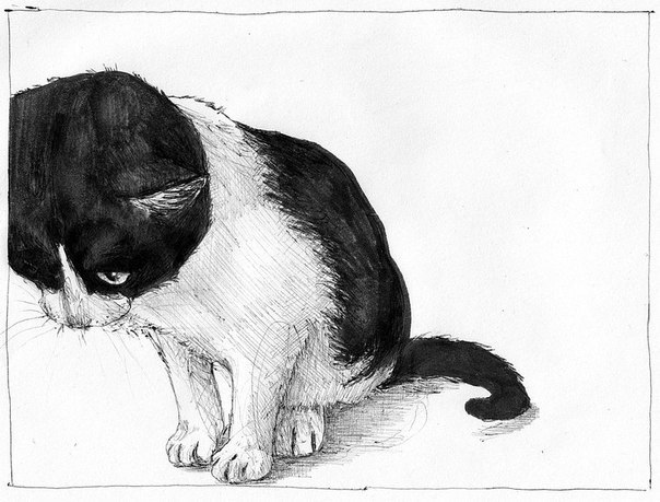 Нина Колисниченко | Феодосия