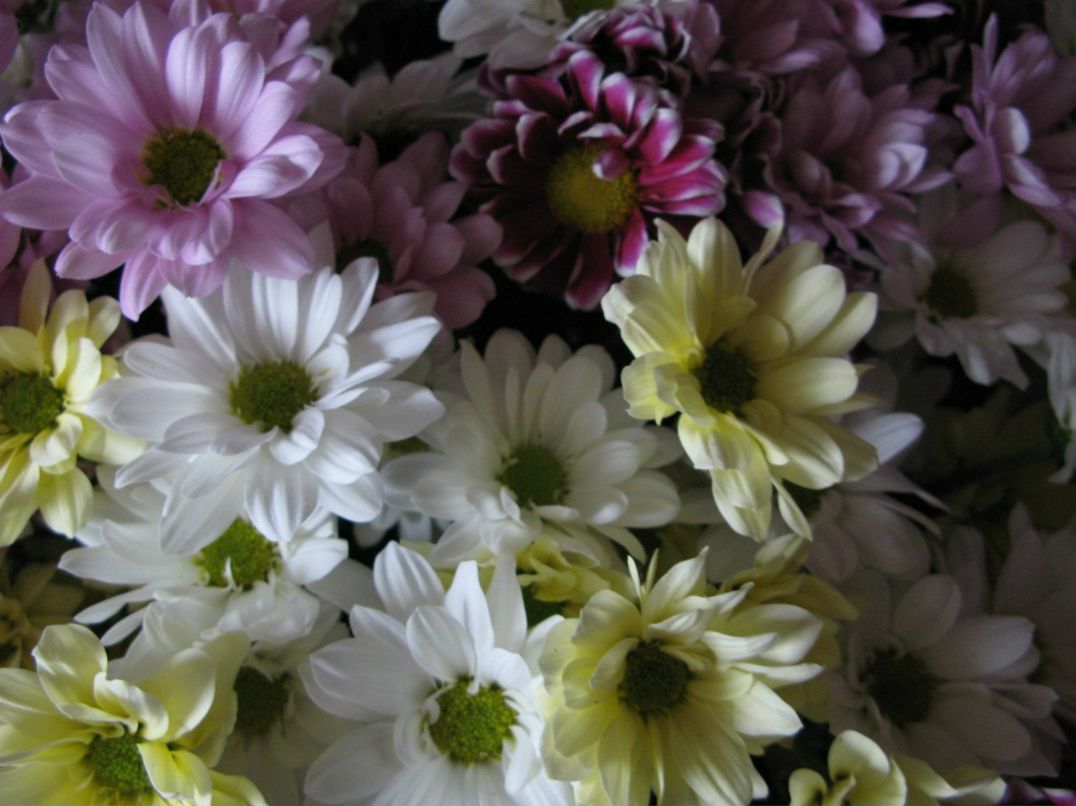 Юлия Гусарова | Москва