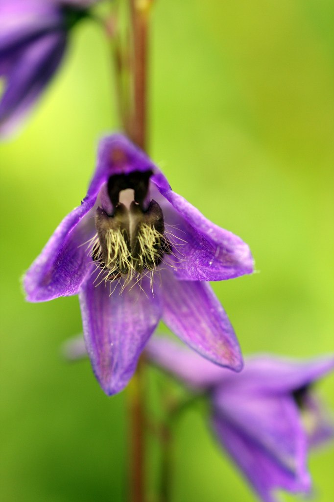 Туяра Андреева | Якутск