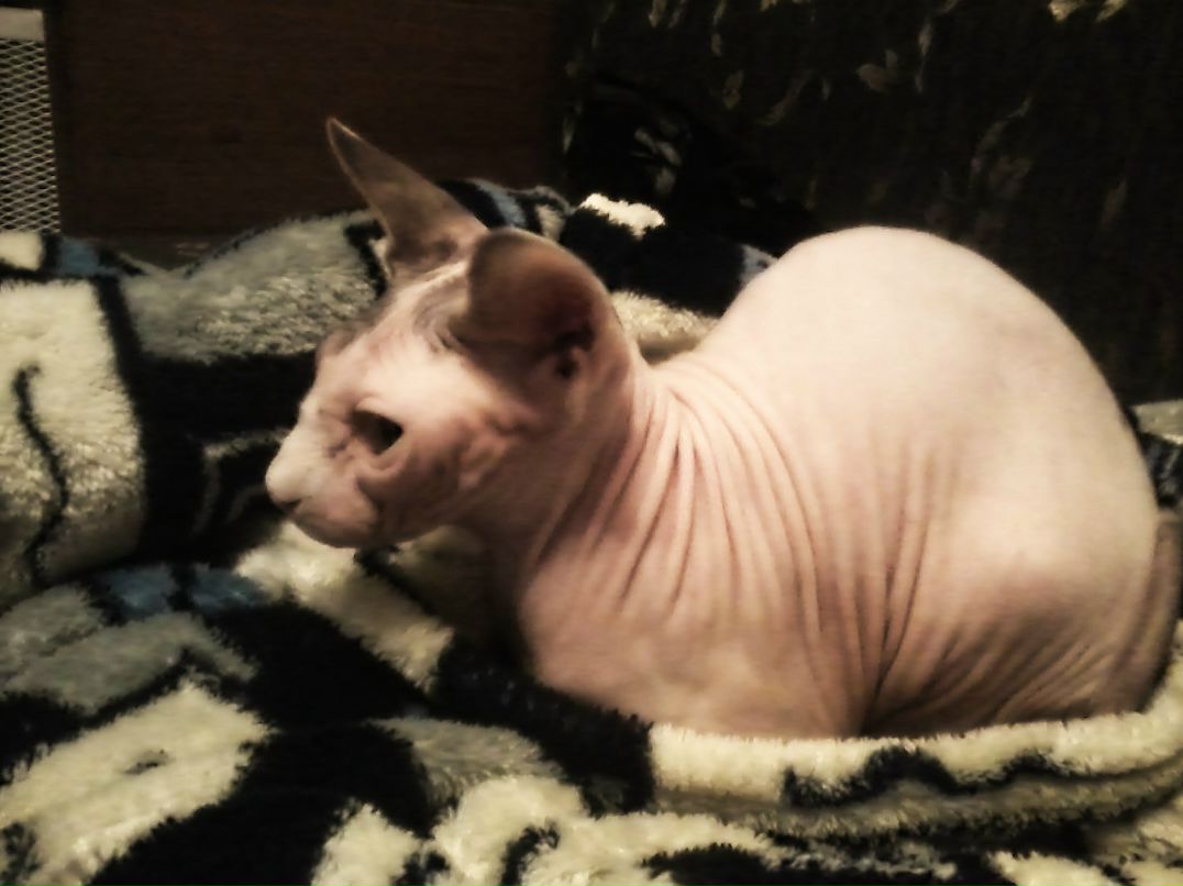 Екатерина Титова | Пермь