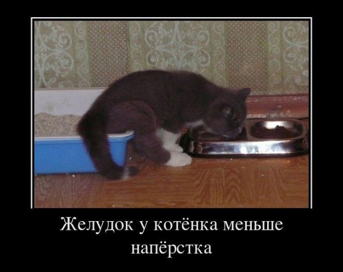 Геннадий Латышов | Кировск