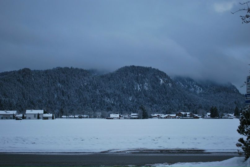 Елизавета Антоновская | Praha