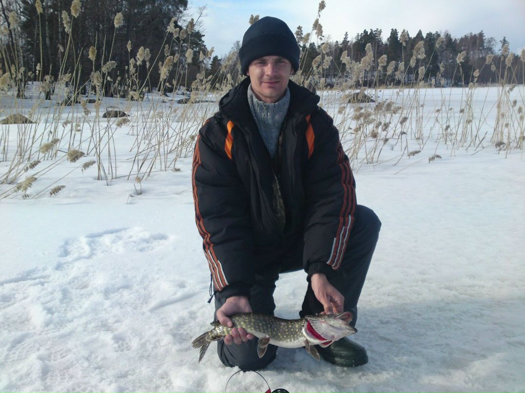 Алексей Гаврилов | Санкт-Петербург