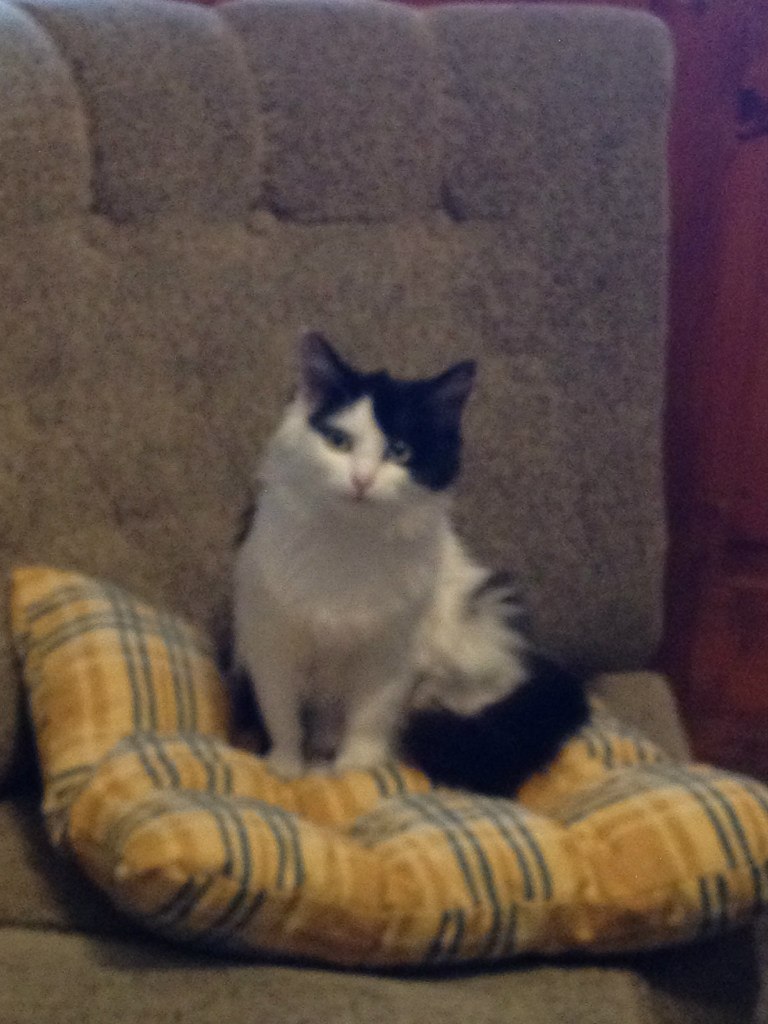 Стас Лопатинский | Иерусалим