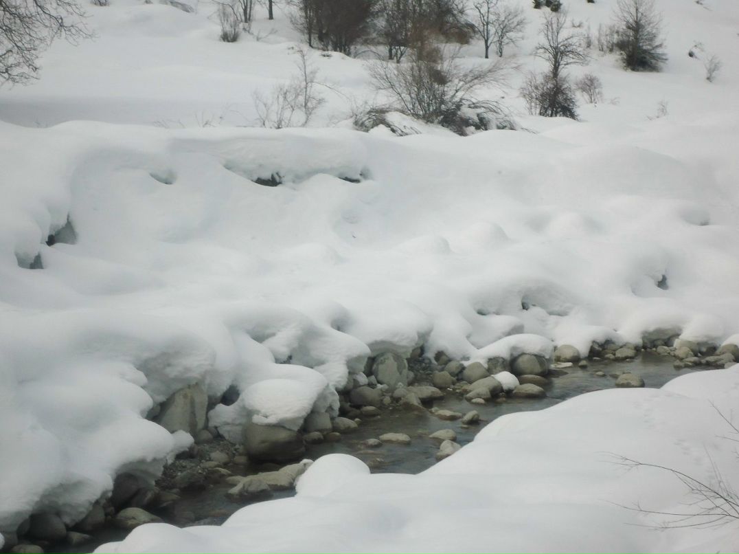 Сергей Дубинин | Тула