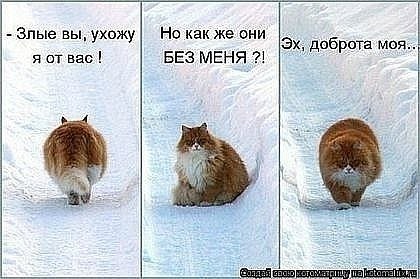 №62, Станислав Молчанов, 43 года, Новосибирск, Россия №62, Станислав Молчанов, 43 года, Новосибирск, Россия