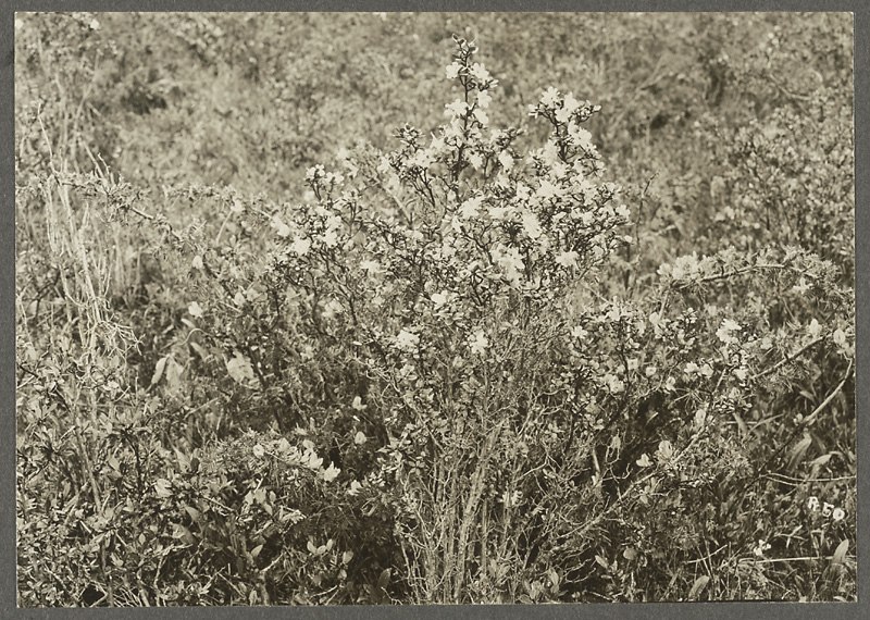 Анна Ярмош | Москва