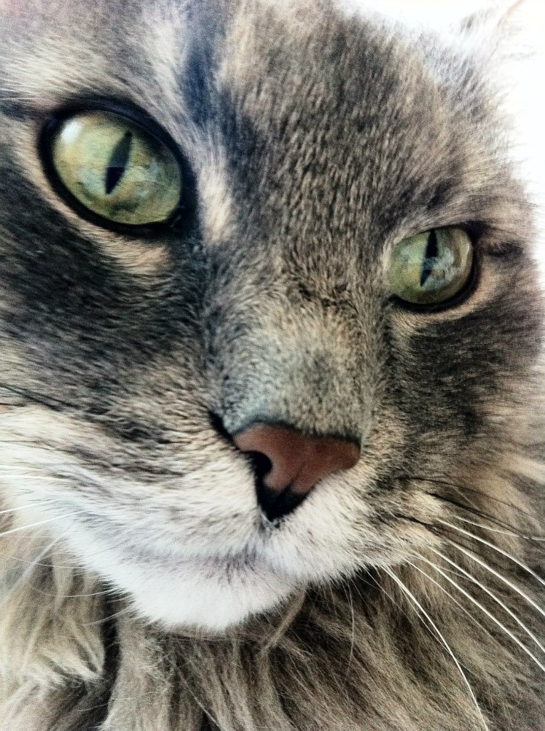 Наталья Кравцова | Москва