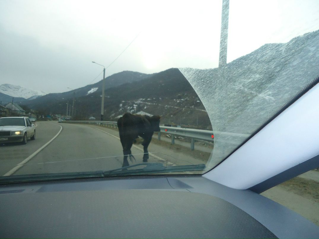 Роман Хрусталев | Москва