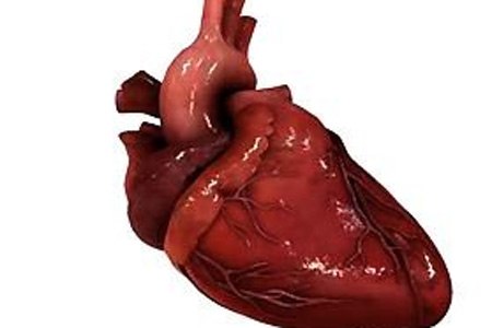 Виктор Петров | Киев