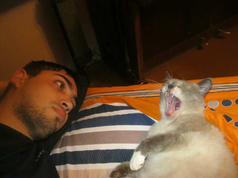 Амир Акбари | Владимир