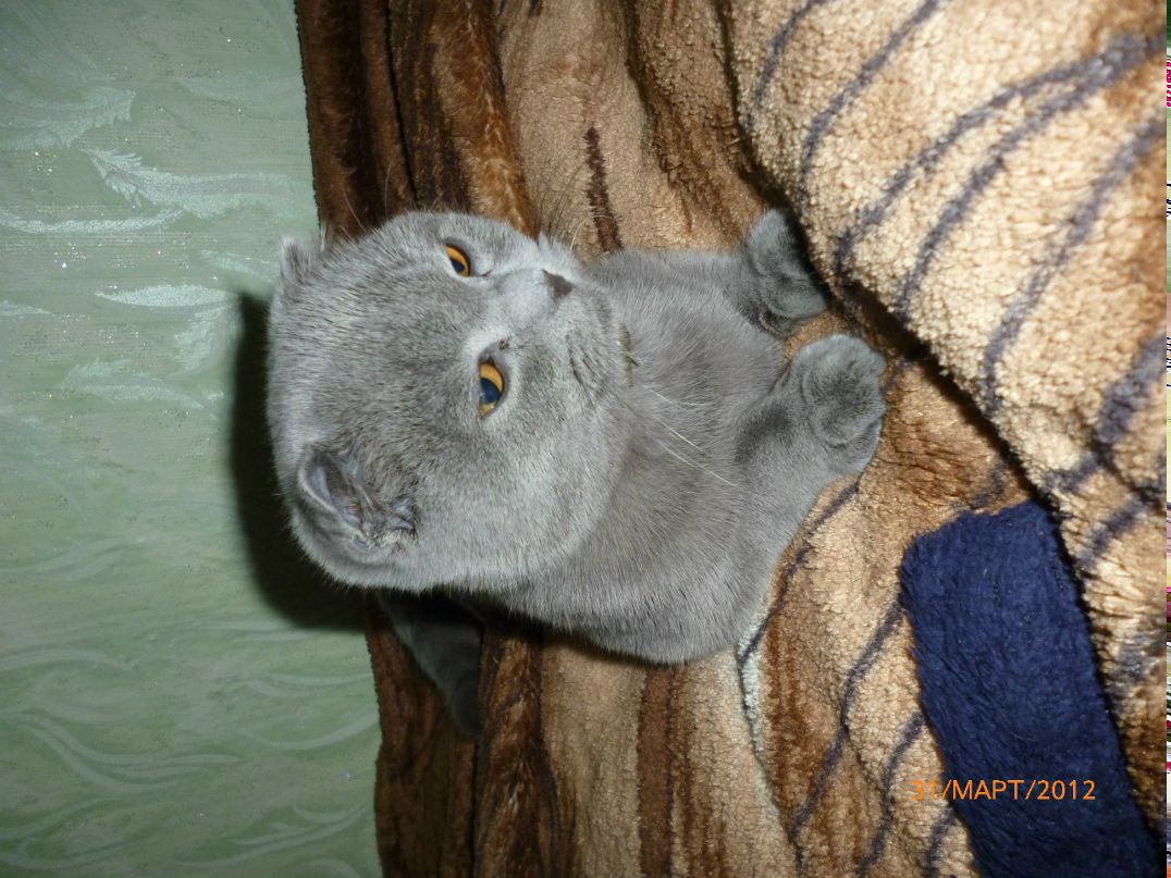 Роман Бородай | Новоайдар