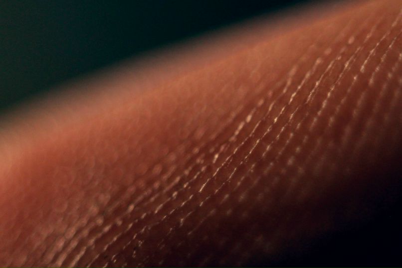 Женя Лапицкий | Санкт-Петербург