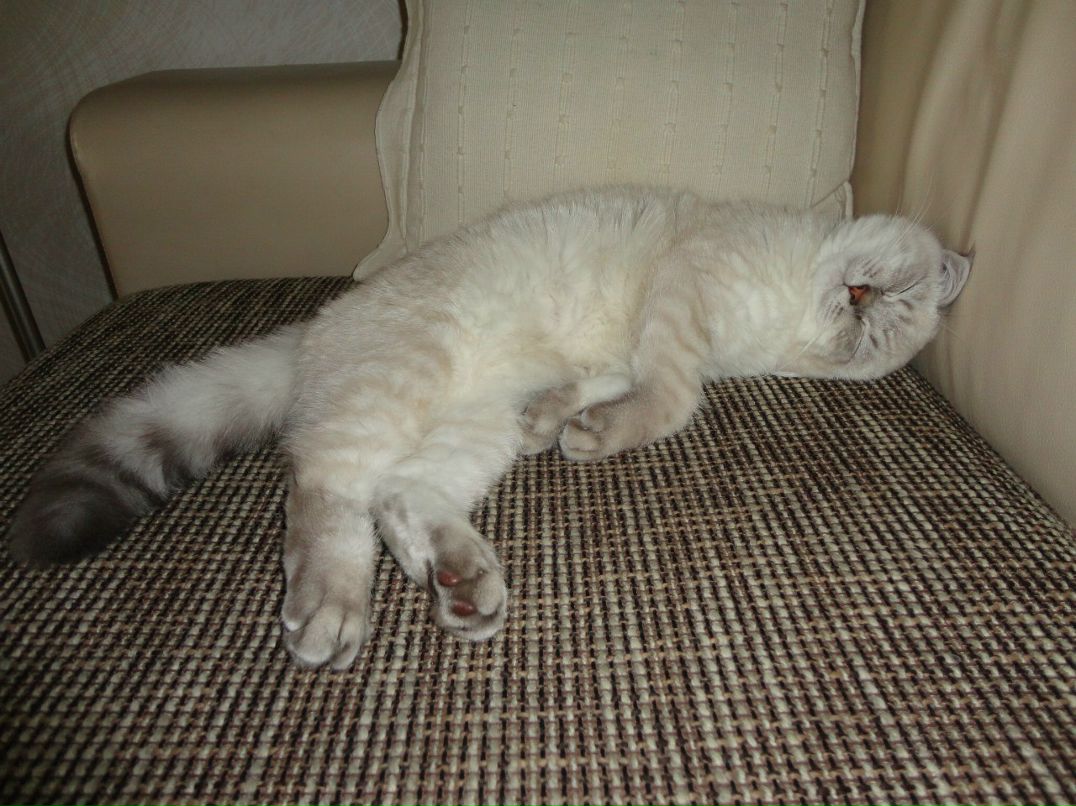 Татьяна Шилович | Минск