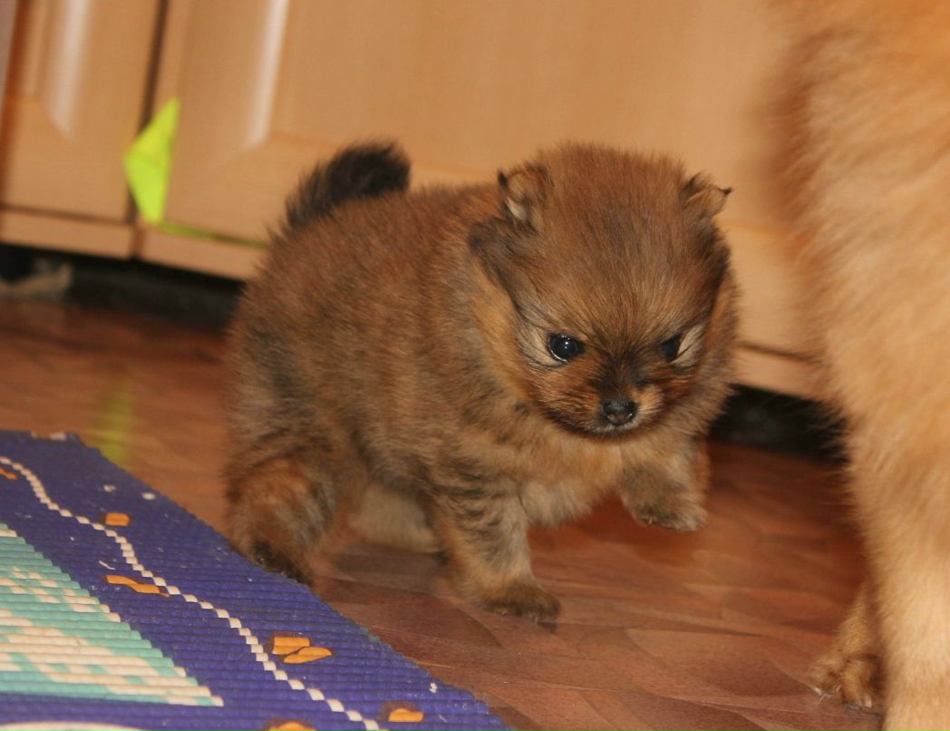 Мария Власенкова | Санкт-Петербург