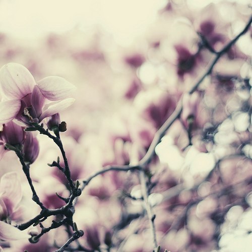 Ольга Кубенина | Няндома