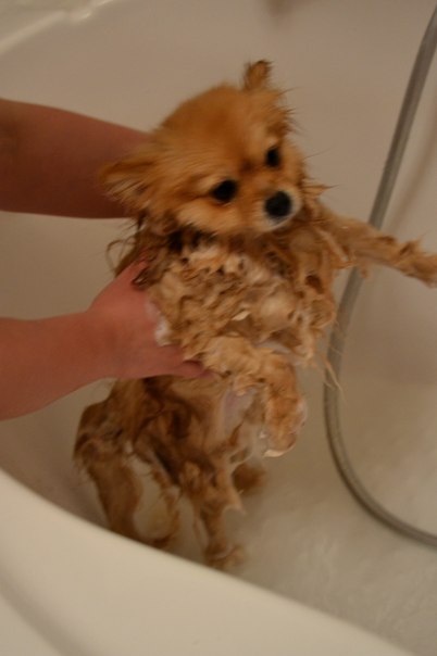 №85, Дарья Родченко, 26 лет, Москва №85, Дарья Родченко, 26 лет, Москва