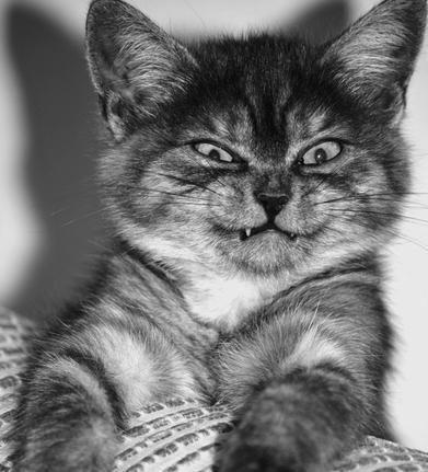 Петр Беззубенко | Тюмень