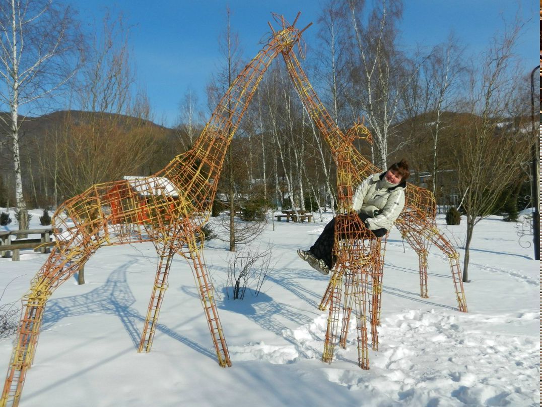 Татьяна Федко | Чернигов