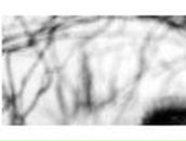 Geor Makoev | Владикавказ