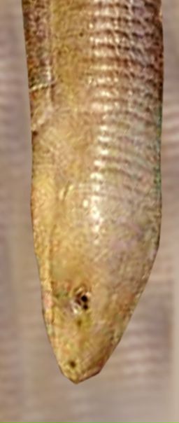 №116, Алексей Лавров, Челябинск №116, Алексей Лавров, Челябинск