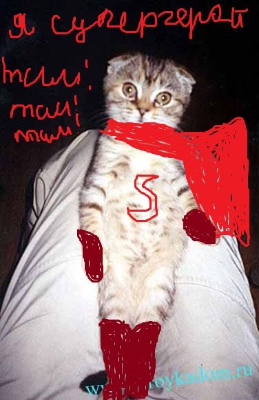 №78, Даниил Лебедев, 21.11, Тула №78, Даниил Лебедев, 21.11, Тула