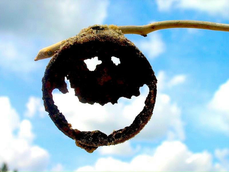 №105, Ярослав Грибіник, Киев №105, Ярослав Грибіник, Киев