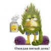 Аватар: Тимофей Папин