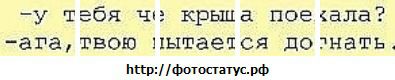 Фотография Александр Линник