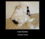 №39 Сергей Кияткин 01.12.1991: профиль, фото, статус - ВКонтакте №39 Сергей Кияткин 01.12.1991: профиль, фото, статус - ВКонтакте