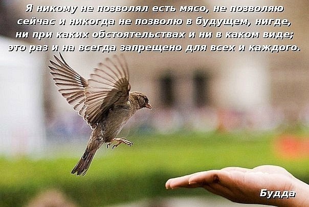 Олеся Мартынова | Энгельс