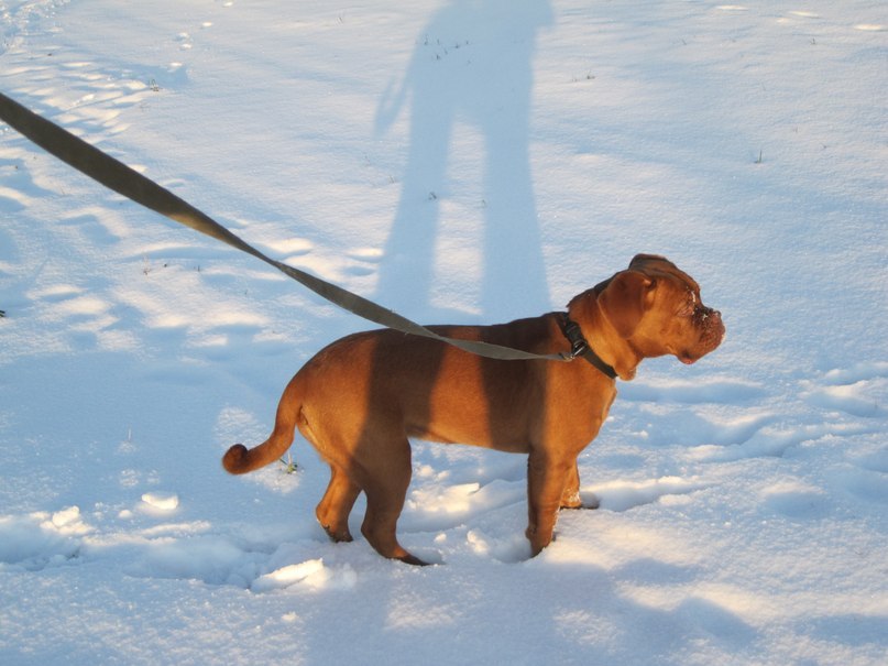 Екатерина Иванова | Санкт-Петербург