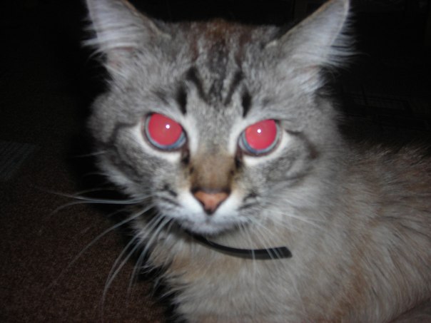 №112, Надежда Григорьева, 14.06.1954, Всеволожск №112, Надежда Григорьева, 14.06.1954, Всеволожск