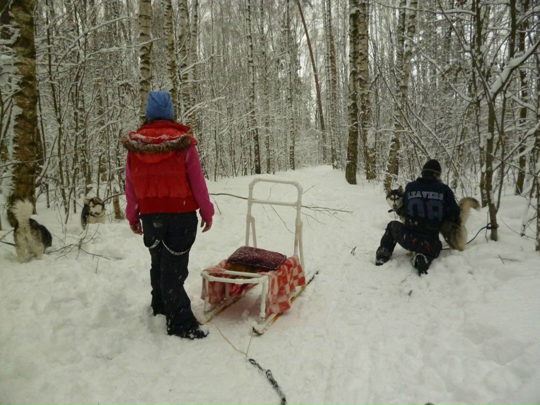 Анна Романенкова | Ногинск