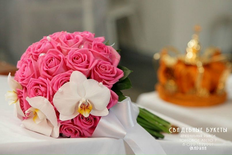 №16, Оля Кощиц №16, Оля Кощиц