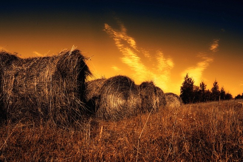 Света Александрова | Калтан