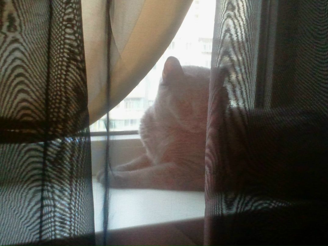 Настя Иванова | Херсон