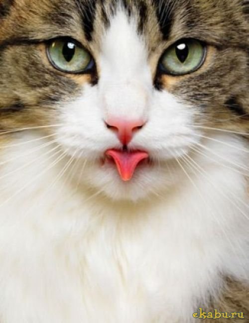 Дмитрий Тарасов ololololololololololololololololololololololololololololololololololo | Amsterdam