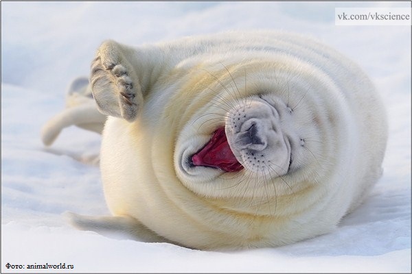 №84, Вова Журжий, Одесса №84, Вова Журжий, Одесса