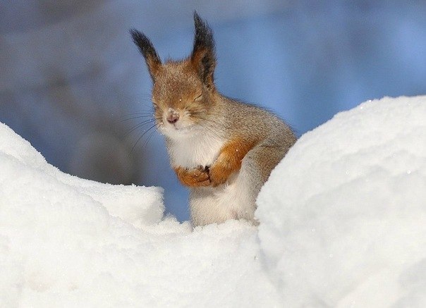 Инна Русанова | Санкт-Петербург