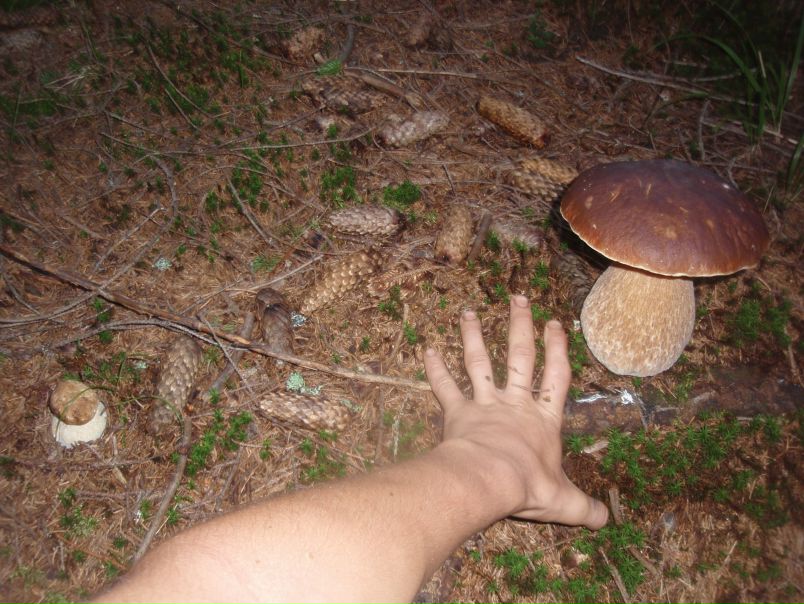 №63, Алик Лобанов, 35 лет, Харьков №63, Алик Лобанов, 35 лет, Харьков