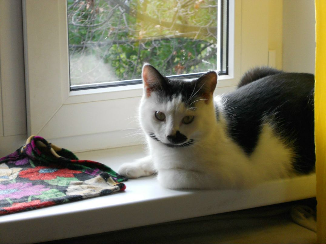 Алла Любовина | Петрозаводск