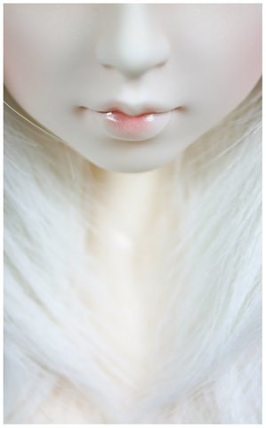 Crazy Ringo [чеширский кот] | Санкт-Петербург