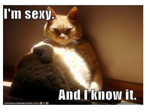 Алёна Сергеева | 