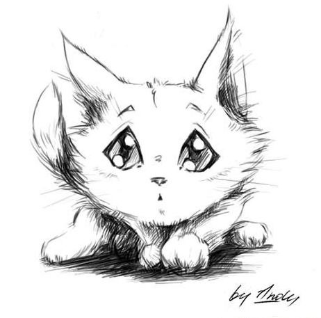 №1, Мария Шостак, 38 лет, Львов №1, Мария Шостак, 38 лет, Львов