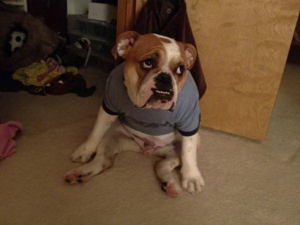 Игорь Савченко ▆ ▅ ▃ ▂[Savec71 ♏ ].ιllιlι. | Тула