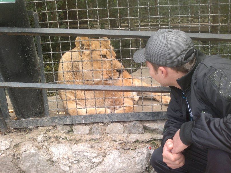 Edem Чаталов @LION@ | Ленинское